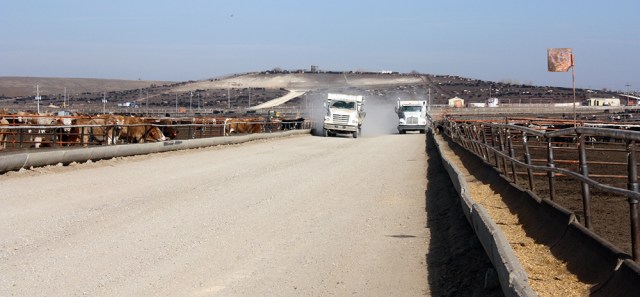 feedyard20dust20feeding_3